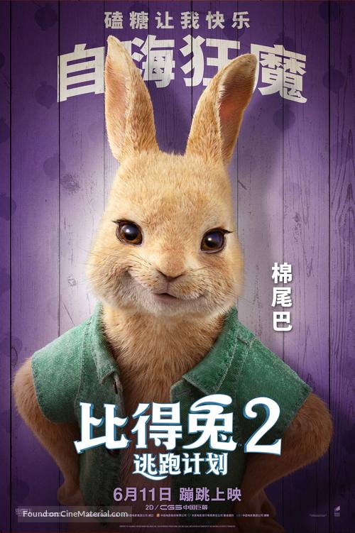 Peter Rabbit 2: The Runaway - Chinese Movie Poster