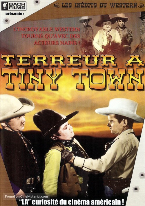 The Terror of Tiny Town - French DVD movie cover