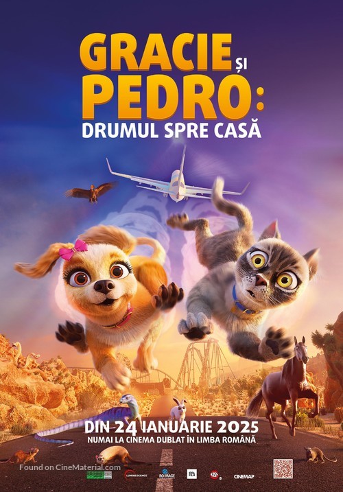 Gracie and Pedro: Pets to the Rescue - Romanian Movie Poster