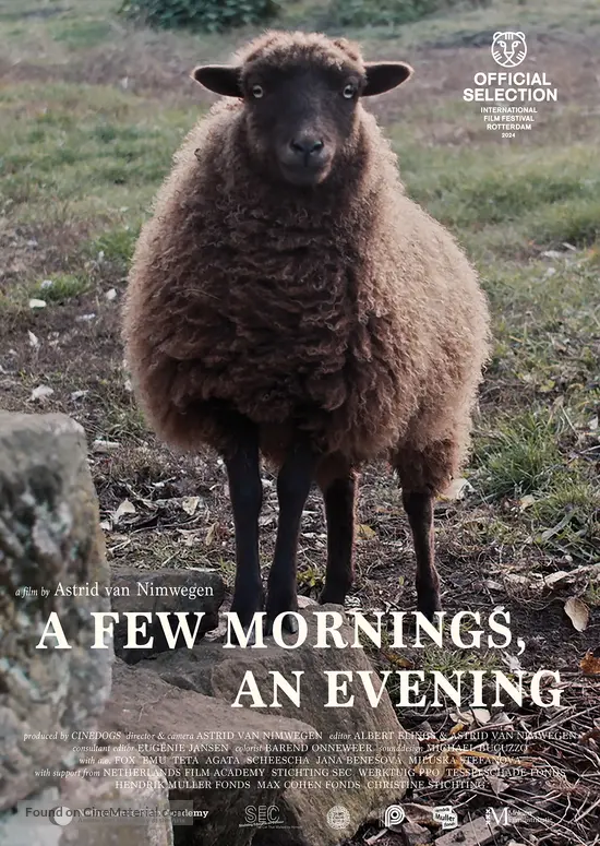 A Few Mornings, an Evening - Dutch Movie Poster