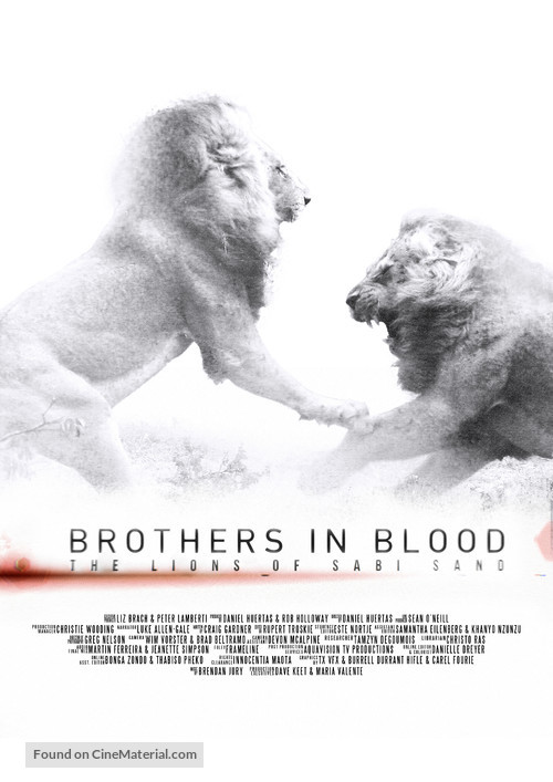 Brothers in Blood: The Lions of Sabi Sand - South African Movie Poster