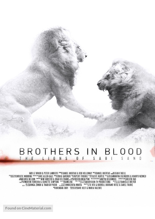 Brothers in Blood: The Lions of Sabi Sand - South African Movie Poster