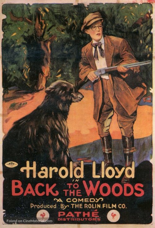 Back to the Woods - Movie Poster