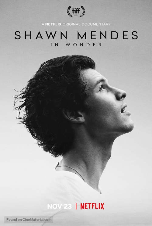 Shawn Mendes: In Wonder - Movie Poster