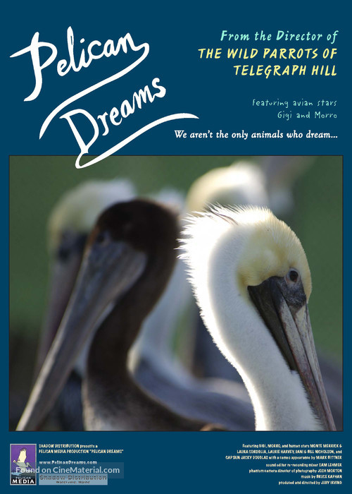 Pelican Dreams - Movie Poster