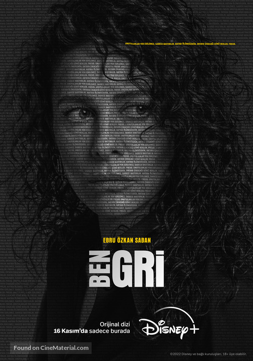 &quot;Ben Gri&quot; - Turkish Movie Poster