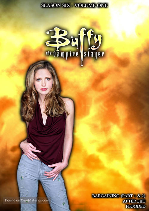 &quot;Buffy the Vampire Slayer&quot; - DVD movie cover