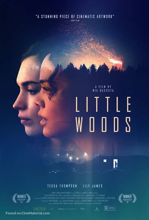 Little Woods - Movie Poster