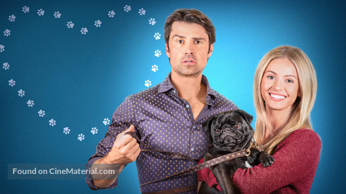 The Dog Lover&#039;s Guide to Dating - Key art