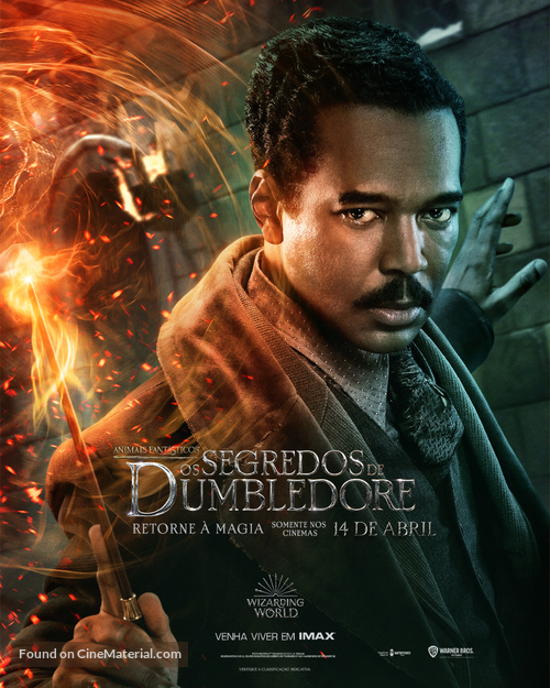 Fantastic Beasts: The Secrets of Dumbledore - Brazilian Movie Poster