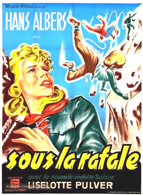 F&ouml;hn - French Movie Poster