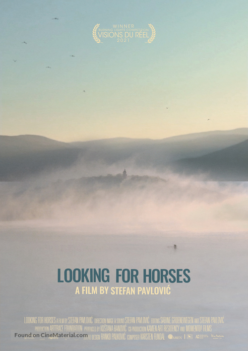 Looking for Horses - Dutch Movie Poster