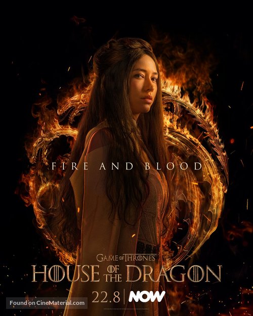 &quot;House of the Dragon&quot; - Irish Movie Poster