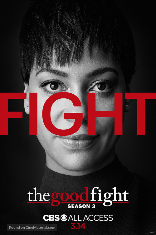 &quot;The Good Fight&quot; - Movie Poster