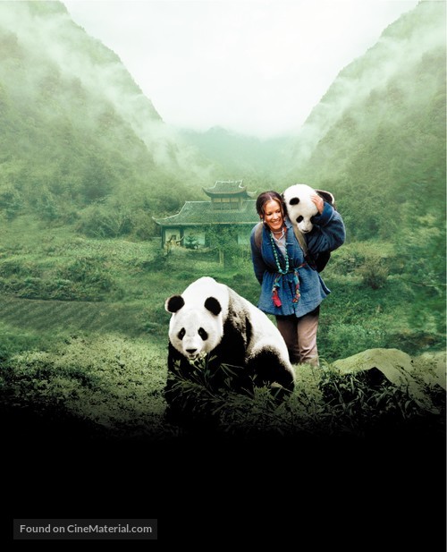 China: The Panda Adventure - poster