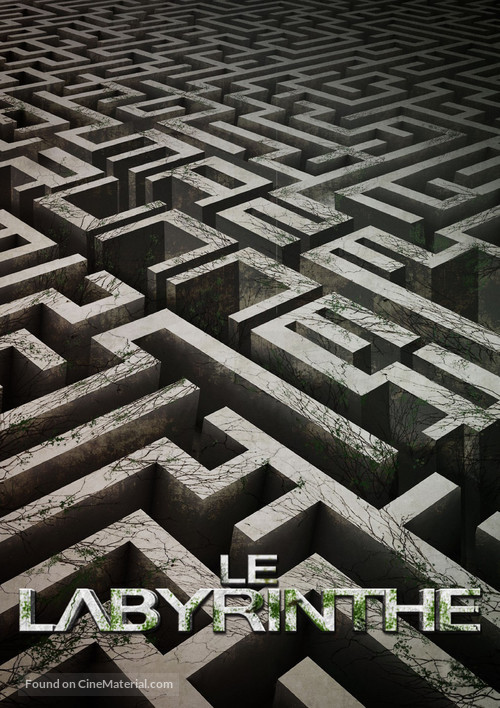 The Maze Runner - French Movie Poster