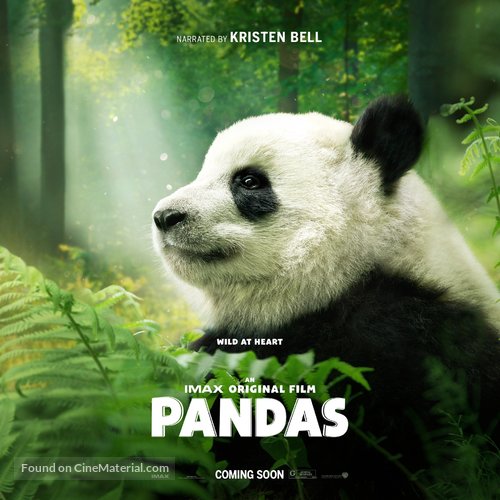 Pandas - Movie Poster