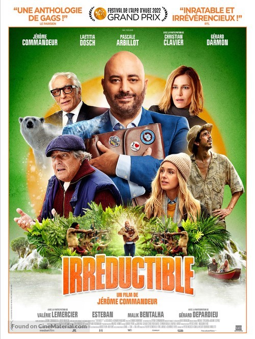Irr&eacute;ductible - French Movie Poster
