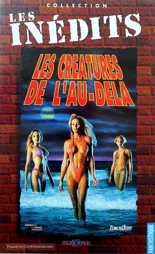 Beach Babes from Beyond - French VHS movie cover