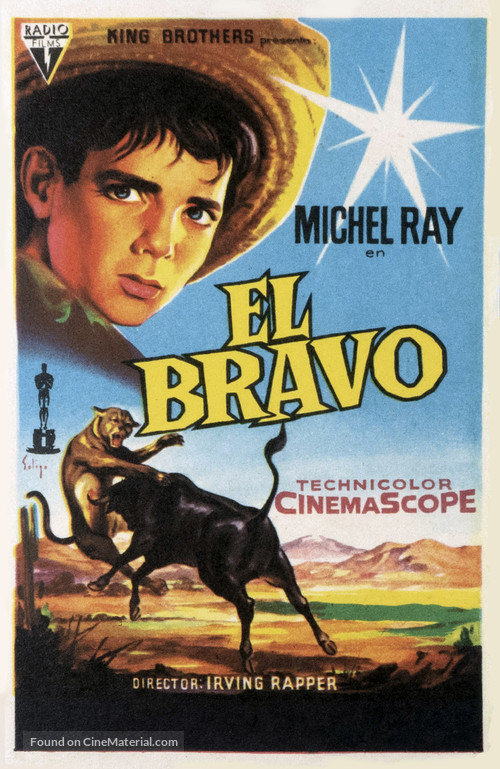 The Brave One - Spanish Movie Poster