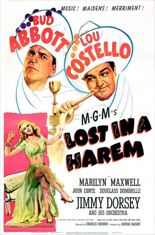 Lost in a Harem - Movie Poster