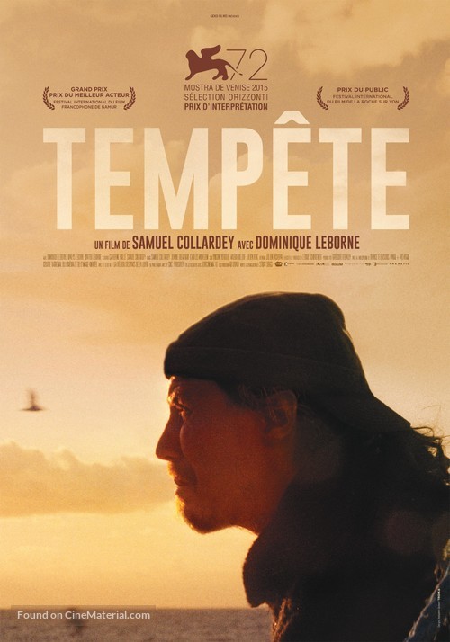 Temp&ecirc;te - Swiss Movie Poster