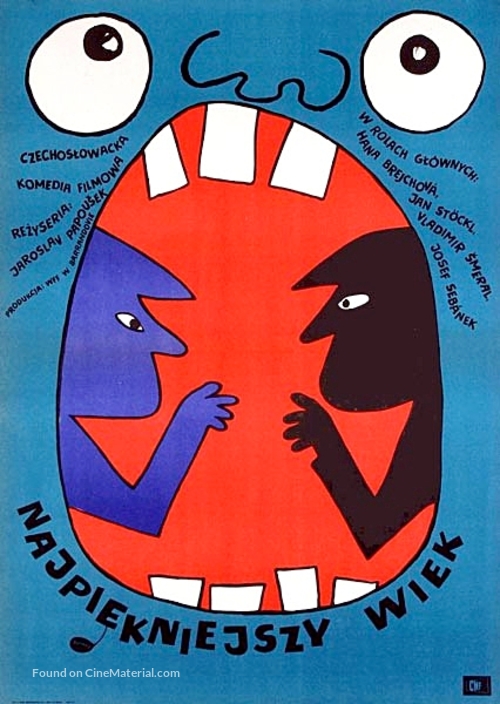 Nejkr&aacute;snejs&iacute; vek - Polish Movie Poster