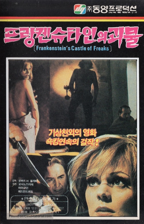 Terror! Il castello delle donne maledette - South Korean VHS movie cover