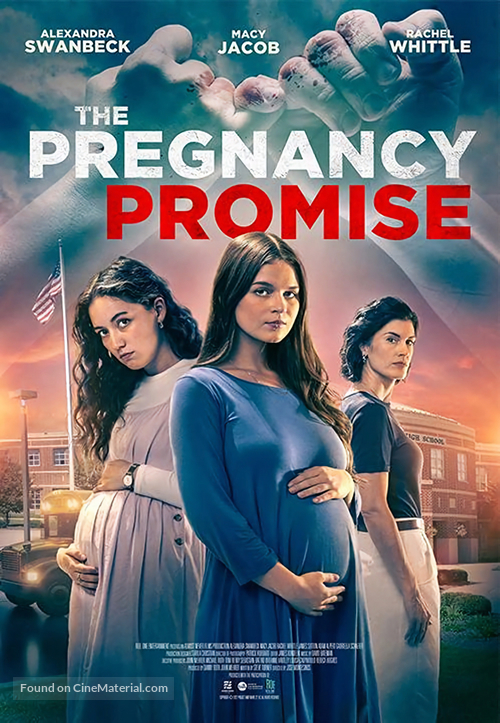 The Pregnancy Promise - Movie Poster