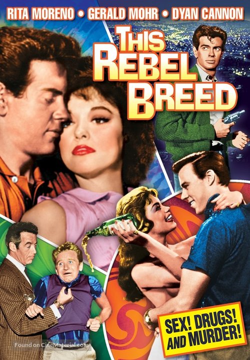 This Rebel Breed - DVD movie cover