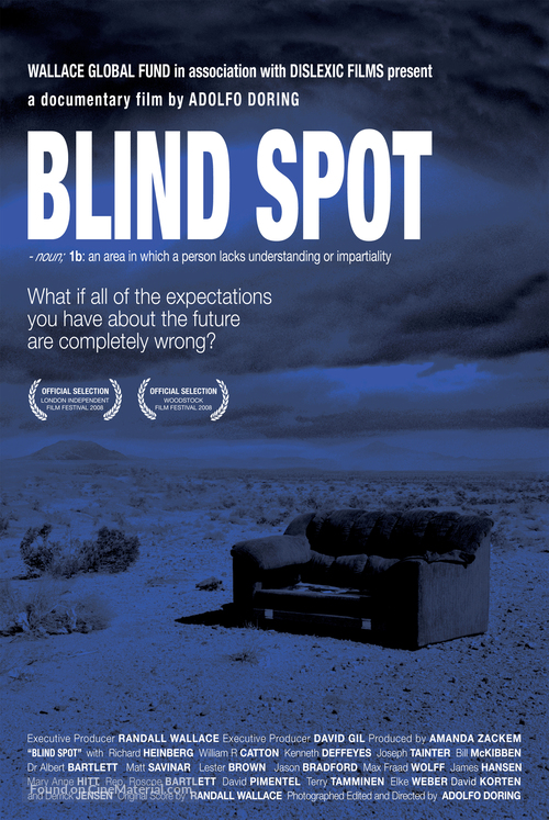 Blind Spot - Movie Poster