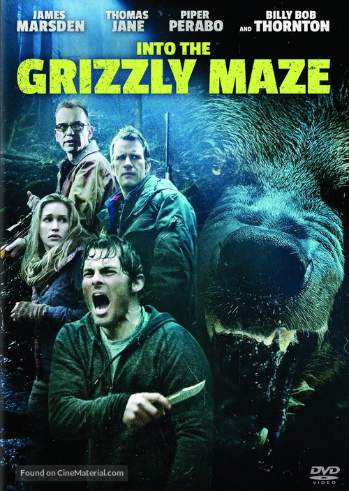Into the Grizzly Maze - DVD movie cover