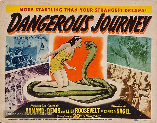 Dangerous Journey - Movie Poster