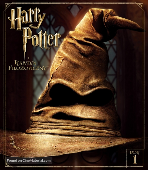 Harry Potter and the Philosopher&#039;s Stone - Polish Movie Cover