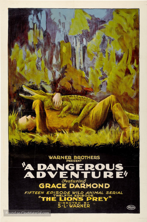 A Dangerous Adventure - Movie Poster