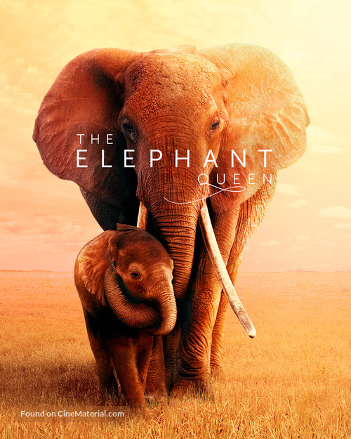 The Elephant Queen - Video on demand movie cover