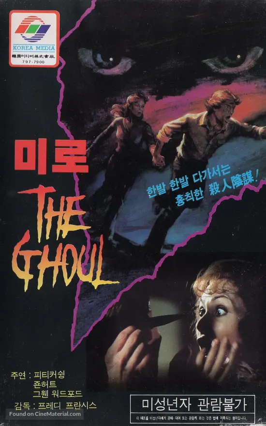 The Ghoul - South Korean VHS movie cover