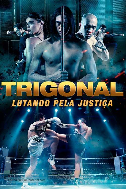 The Trigonal: Fight for Justice - Spanish Movie Cover