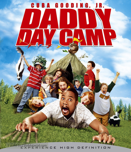 Daddy Day Camp - Blu-Ray movie cover