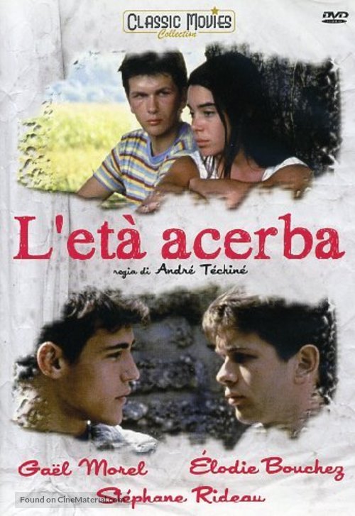 Les roseaux sauvages - Italian DVD movie cover
