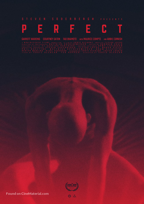 Perfect - Movie Poster