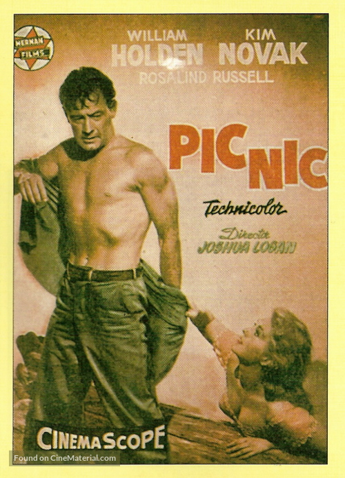 Picnic - Spanish Movie Poster