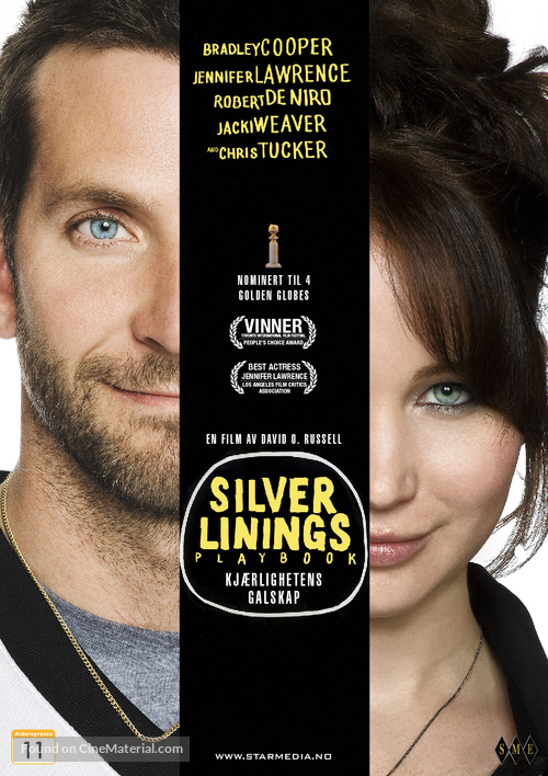 Silver Linings Playbook - Norwegian DVD movie cover