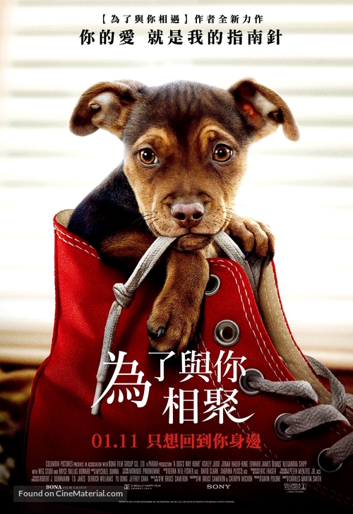A Dog&#039;s Way Home - Taiwanese Movie Poster