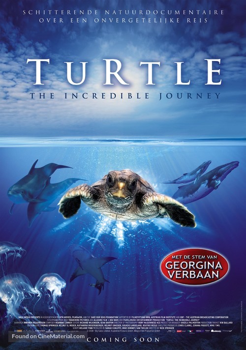 Turtle: The Incredible Journey - Dutch Movie Poster