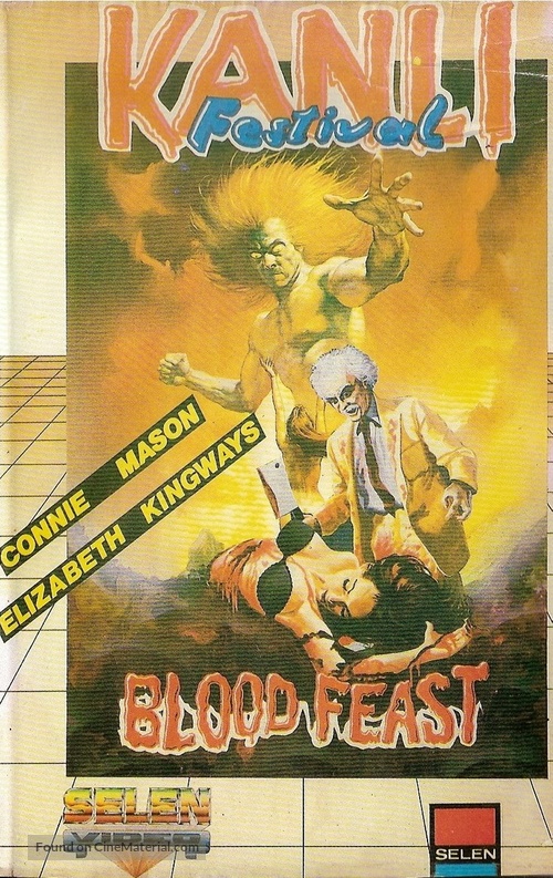 Blood Feast - Turkish VHS movie cover