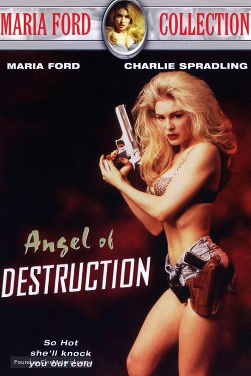 Angel of Destruction - DVD movie cover