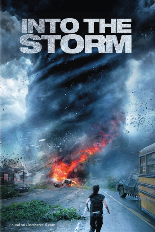 Into the Storm - DVD movie cover