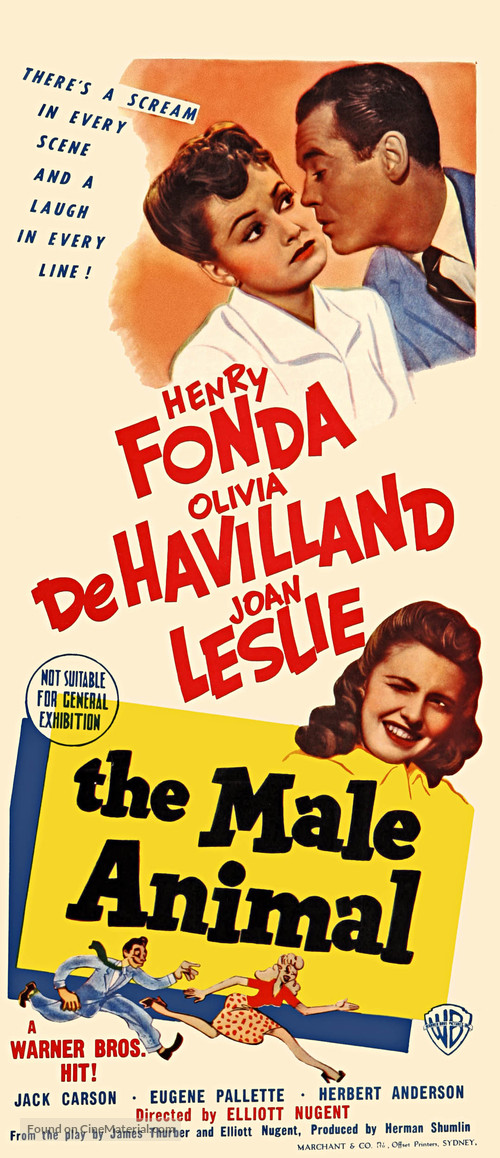 The Male Animal - Australian Movie Poster