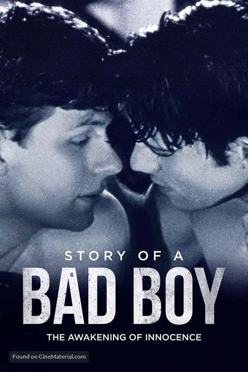 Story of a Bad Boy - Movie Poster